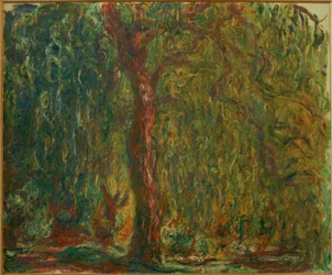 Le Saule pleureur (Smuteční vrba)