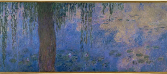 Les Nympheas: le matin aux saules (olej na plátně)