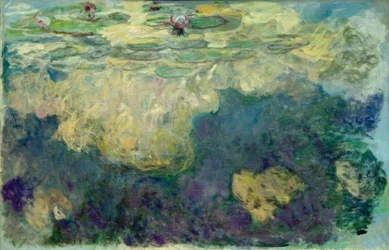 Nymphéas