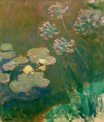 Nymphéas et Agapanthes (Seerosen und Agapanthus)