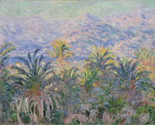 Palmy v Bordighera