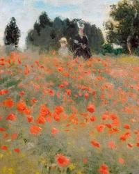 Vlčí máky v okolí Argenteuil (detail)