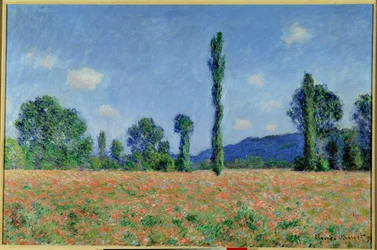 Poppy Field, 1890 (olej na plátně)