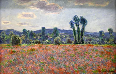 „Makové pole“, 1887