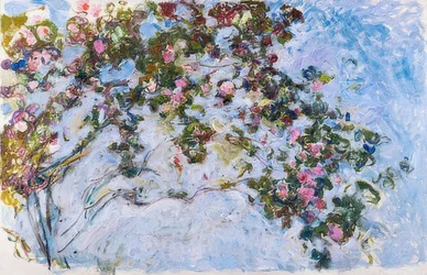 Rosen. 1925-26