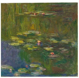 Vodní leknín, 1919