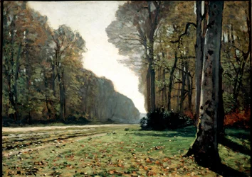 Chodník v Chailly (Fontainebleau), asi 1865 (olej na plátně)