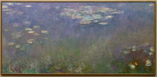 Lekníny (Agapanthus), asi 1915-26 (olej na plátně)