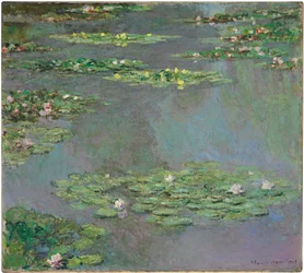 Lekníny, 1905