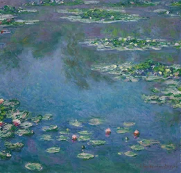 Lekníny, 1906.