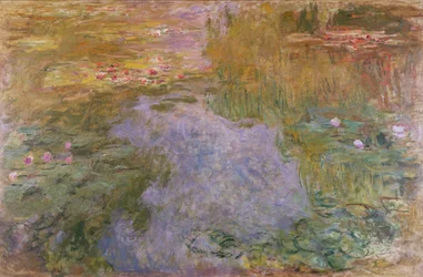 Lekníny, 1919