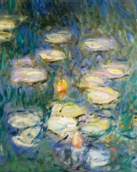 Lekníny, Claude Monet, detail