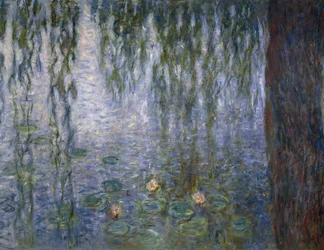 Lekníny, Claude Monet, detail