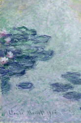 Lekníny
