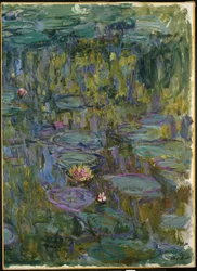 Lekníny