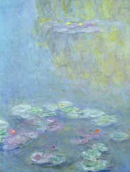 Lekníny, 1906 (detail 242510)