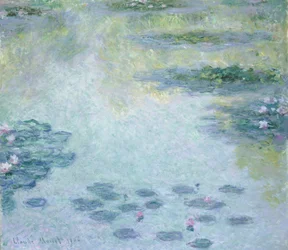 "Lekníny", 1906