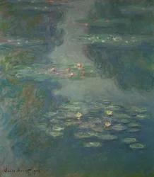 Lekníny, 1908
