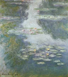 Lekníny, Nympheas, 1908