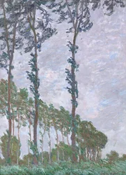 Wind Effect, Series of The Topols, 1891