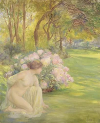 Flóra