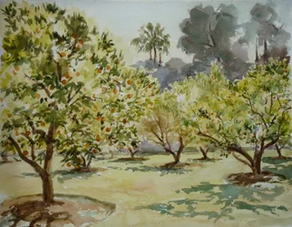 Mamounia, Pomerančové háje, 2000 (akvarel)