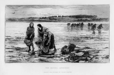 Sběrači mušlí, c1890.