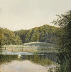 Labutě na rybníku Paddington, 1860 (wc na papíře)