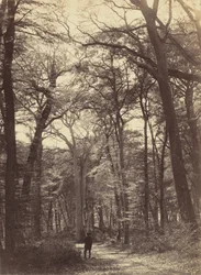 Lesní scéna, c. 1865.