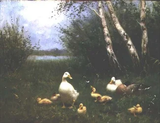 Kachny s kachňaty (olej na plátně)
