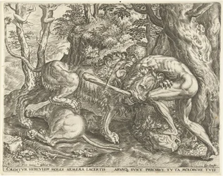 Herkules uškrtí nemejského lva Labors of Hercules (název série)