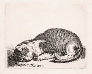 Spící kočka, kolem 1607-81