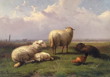 Ovce dřímající na pastvině, 19. století