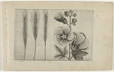 Rogge en stokroos Know the Lilies (název série)