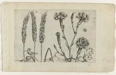 Tarwe en tuinanjer Know the Lilies (název série)