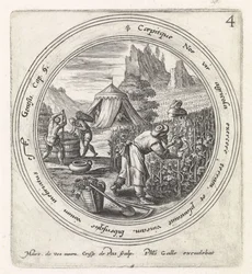 Noah zasadil vinici Historie Noaha (název série)