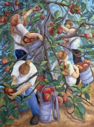 Sběrači jablek, 1996