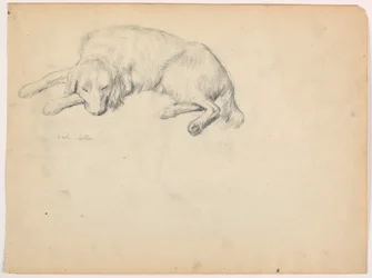 Kresba, Dash (setr), asi 1862