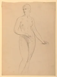 Kresba, paní Henry Schieffelin, S, 1881