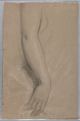 Kresba, paní Rutherford B Hayes,, 1880
