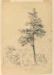 Studie Hemlock, Gorham, New Hampshire