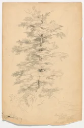 Studie Hemlock poblíž White Lake