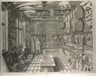 Frontispiece 