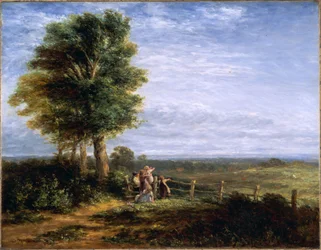 Mrakoplaš, 1849
