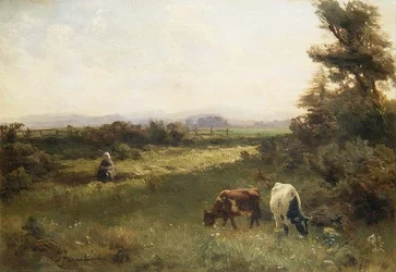 Letní odpoledne poblíž Blairgowrie