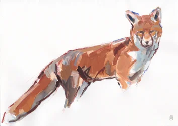 Red Fox, 2021 (kvaš a akvarel/pastel na papíře)