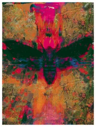 Death Moth Collage, 2016 (koláž na papíře)