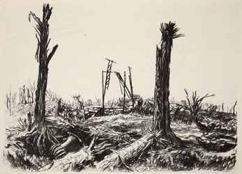 Oranžerie, zámek Deniecourt, ilustrace z knihy "The Western Front", vydavatelství Country Life Ltd.