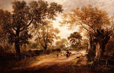 Pasení ovcí