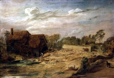 Mytí ovcí ve Wiltshire
